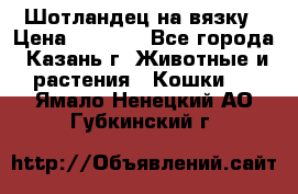 Шотландец на вязку › Цена ­ 1 000 - Все города, Казань г. Животные и растения » Кошки   . Ямало-Ненецкий АО,Губкинский г.